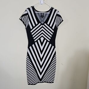 Jax Black and White Striped Mini Dress
